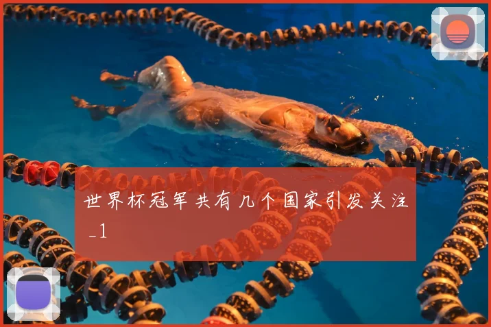 世界杯冠军共有几个国家引发关注 _1